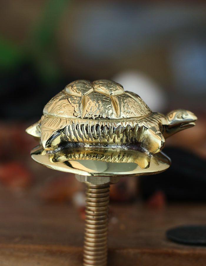 Solid Metal Knobs | Decorative Tortoise Solid Brass Metal Cabinet Knobs Solid Metal Knobs